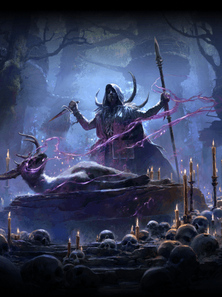 Bleed Ritualist Leveling Build image